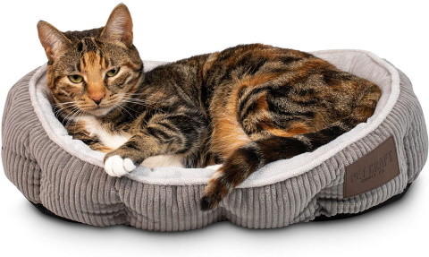 pet řemesla kočičí postel_Amazon