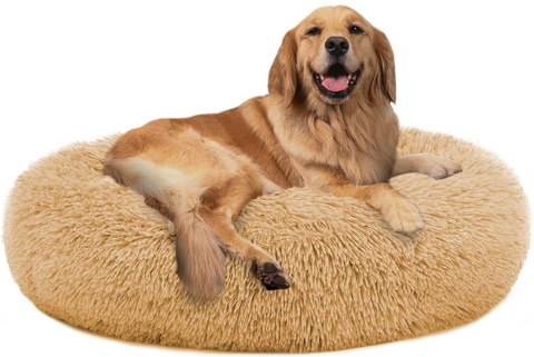pupbudd Kočičí postel_Amazon