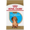 Krmivo pro štěňata jezevčíka Royal Canin