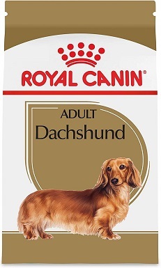 Dospělý jezevčík Royal Canin