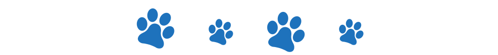 Divisor 8