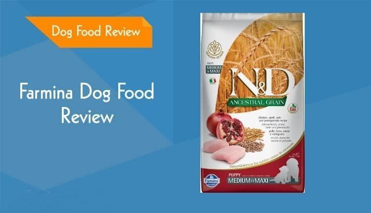 Farmina Dog Food Review 2021: Innköllun, kostir og gallar