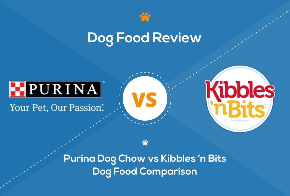 purina vs kibles