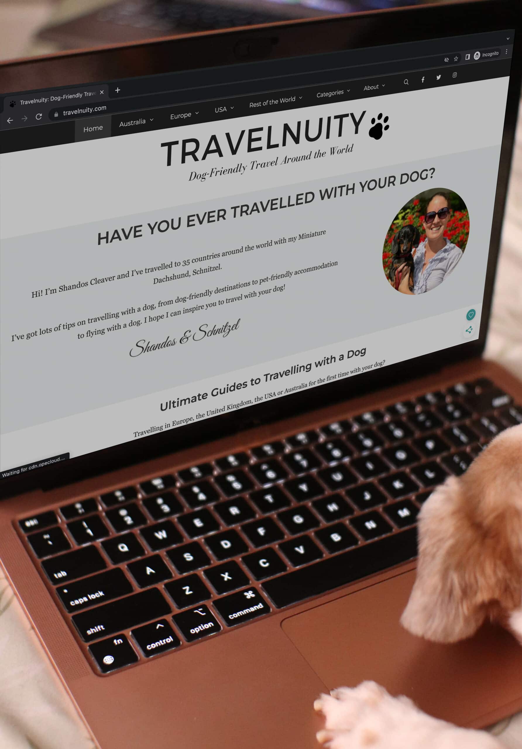 pes procházení webu Travelnuity na notebooku
