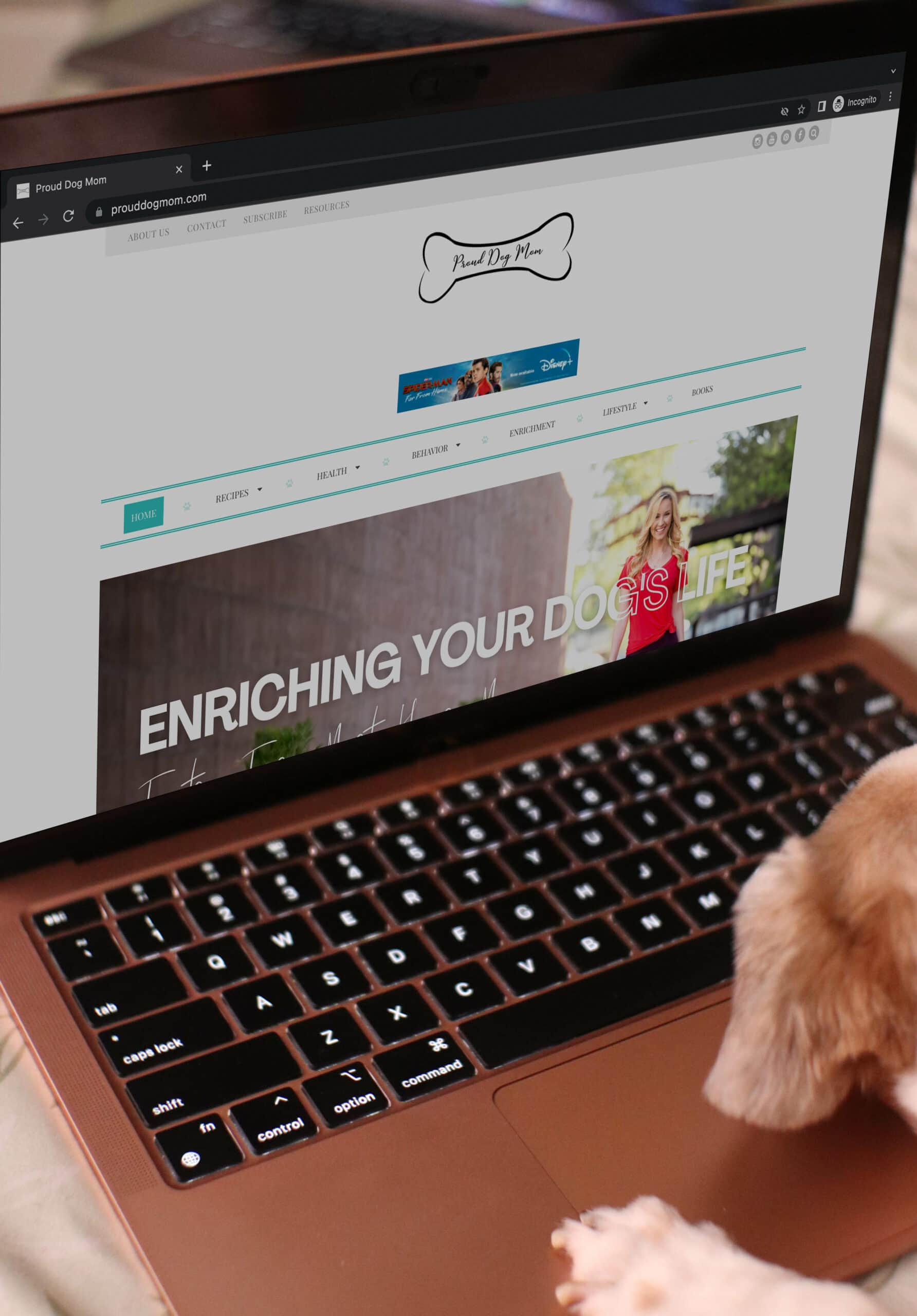 pes prohlíží web Proud Dog Mom na notebooku