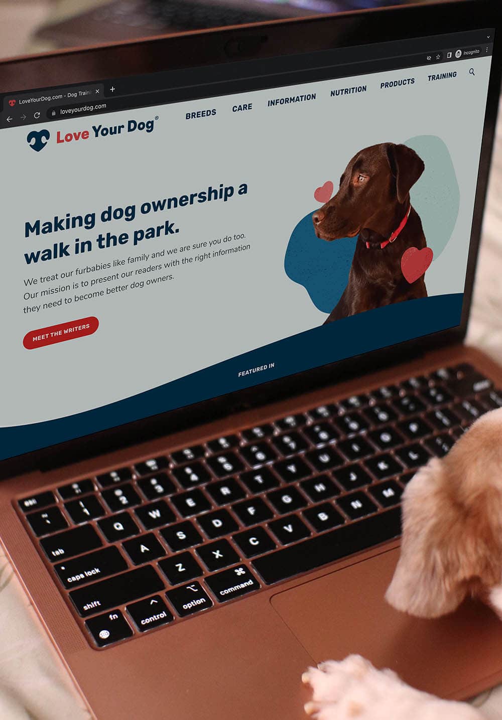 pes procházení webu Love Your Dog na notebooku