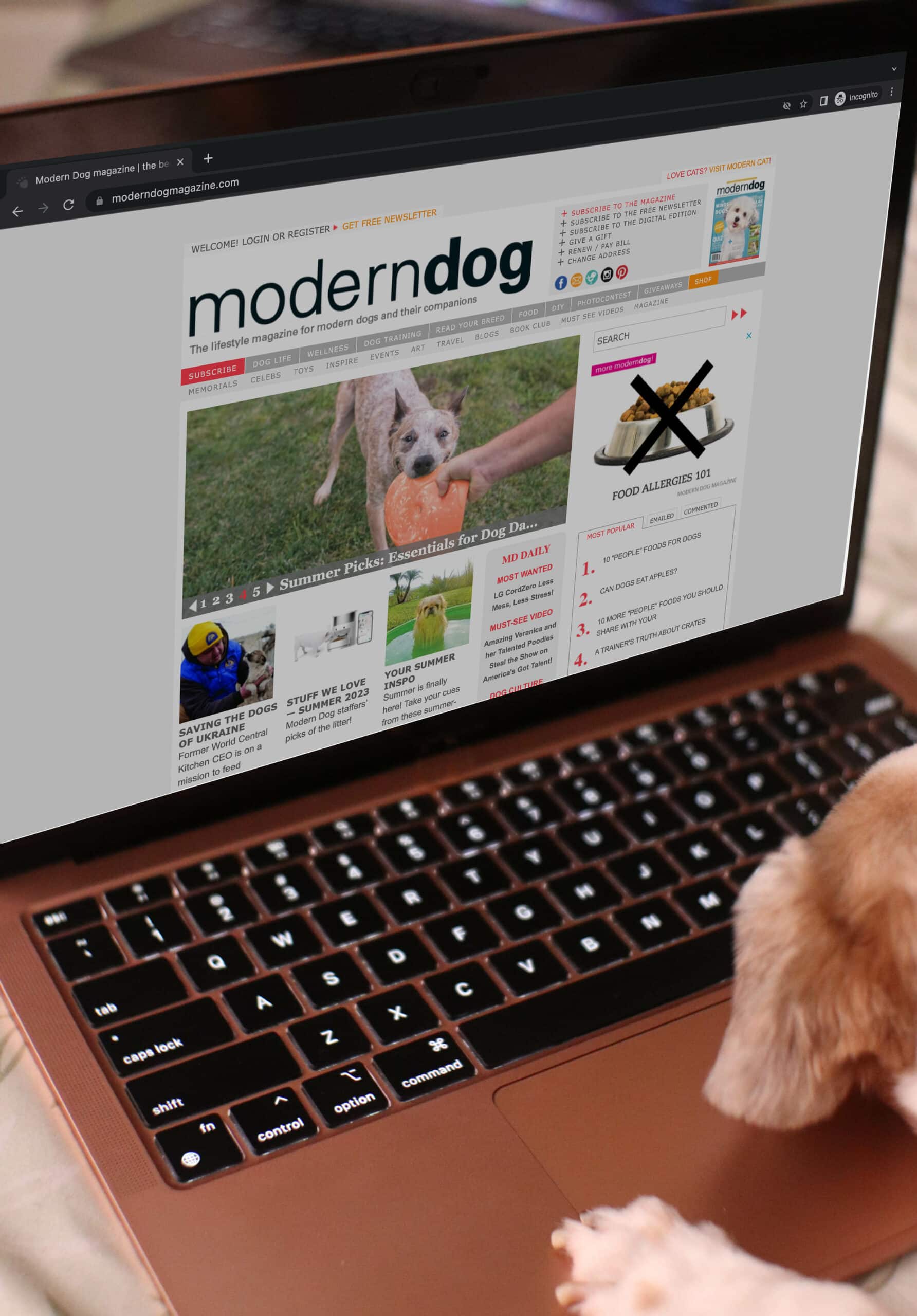 pes procházení časopisu Modern Dog na notebooku