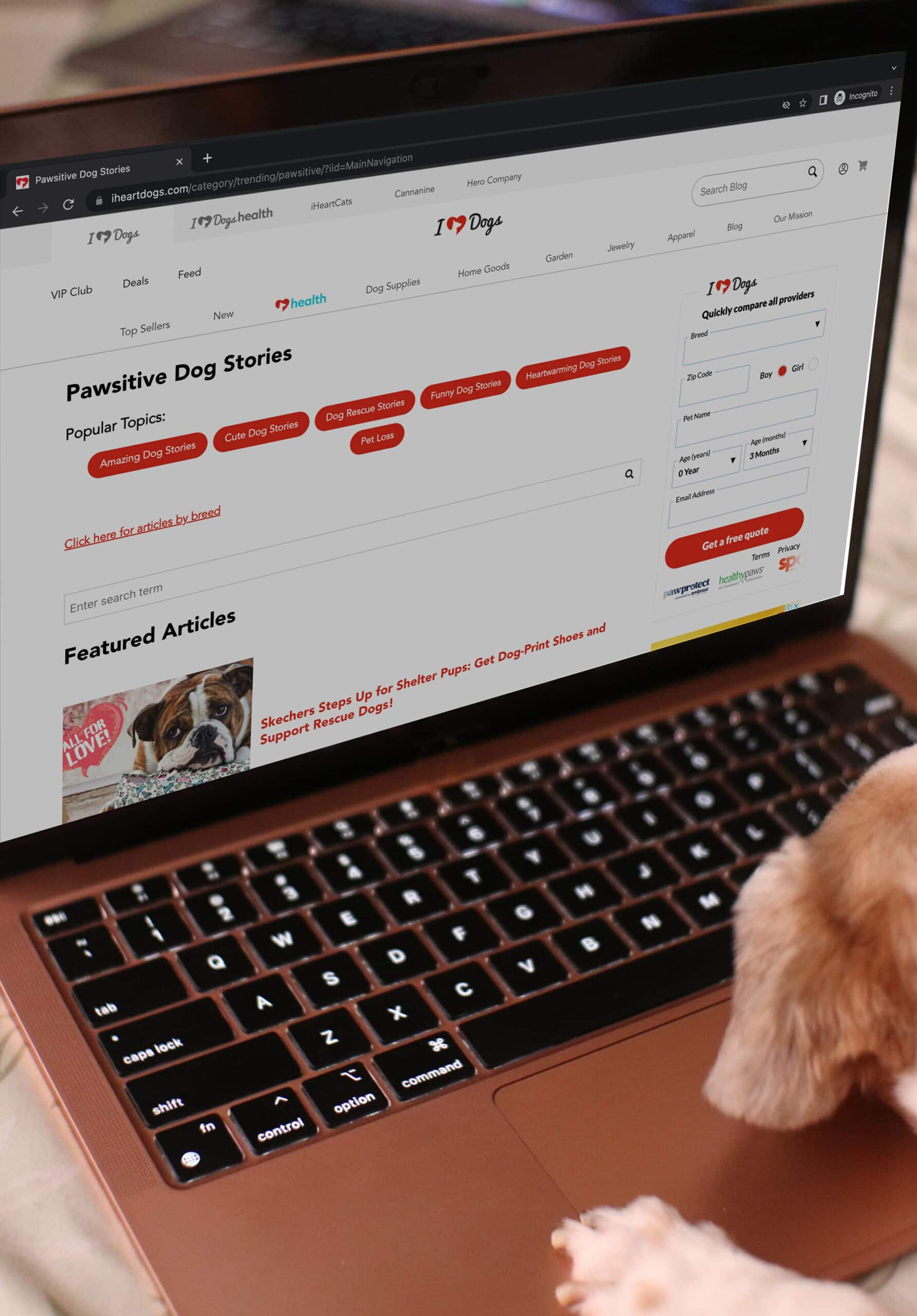 pes prohlíží web IHeartDogs na notebooku