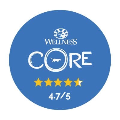 wellness jádro