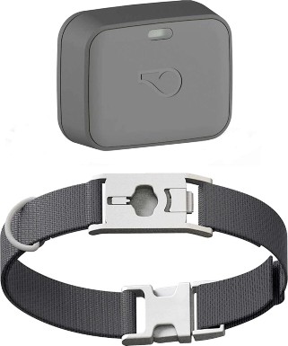 GPS Tracker Whistle Go Explore Dog
