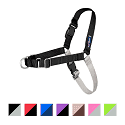 PetSafe Easy Walk
