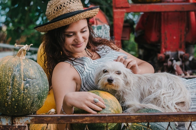 Mladá žena z venkova mazlí svého psa, zatímco leží mezi pumpkins_vuk saric_shutterstock