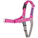 PetSafe Easy Walk