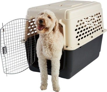 Frisco Plastic Dog & Cat Kennel