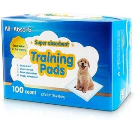 All-Absorb Super Absorbent -harjoitustyynyt