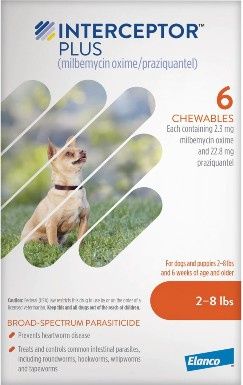 Interceptor Plus Chew koirille