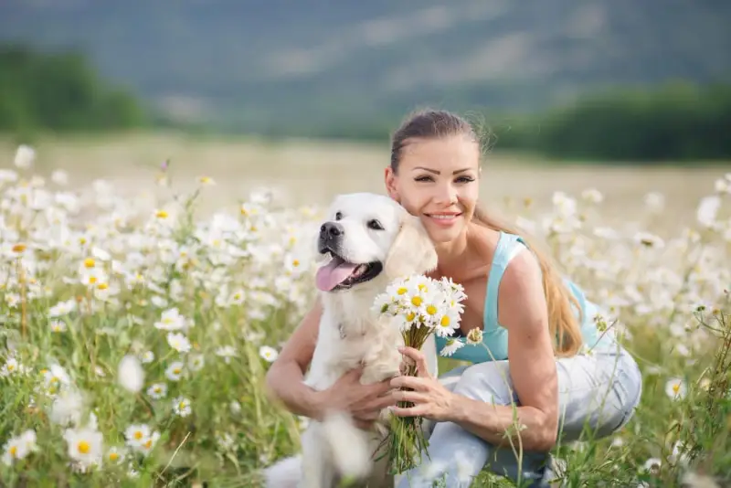 Kamille für Hunde: Vorteile und Sicherheitstipps!
